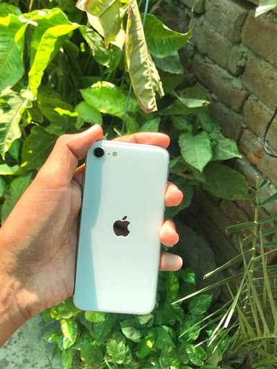 iPhone SE 2020 64gb /03368696095/