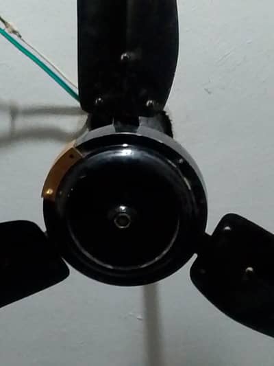 AC DC fan for sale