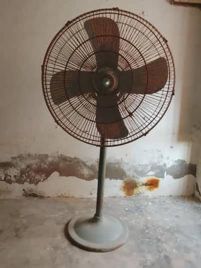Royal Pedestal Fans (Used)
