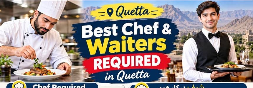 shefs, cooks, waiters required