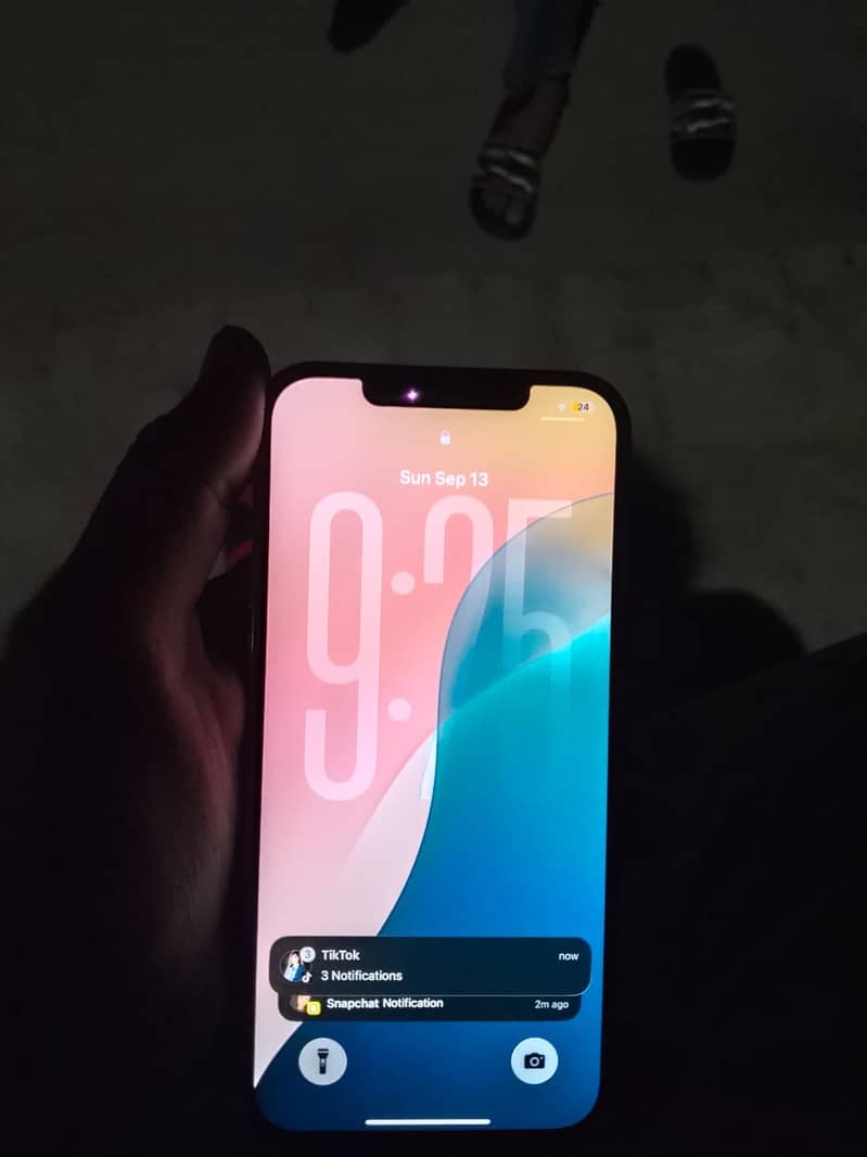 iPhone 12 Pro Max 1