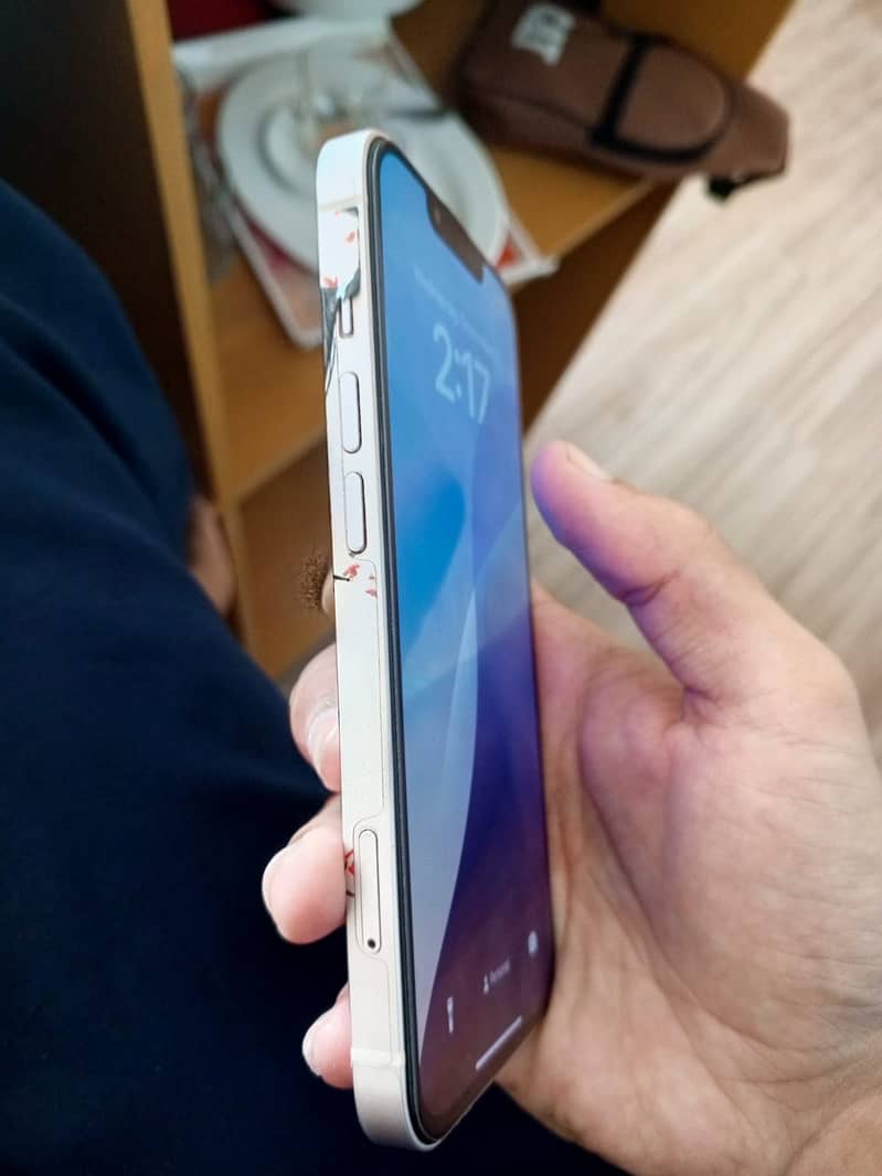 Apple iPhone 13 0