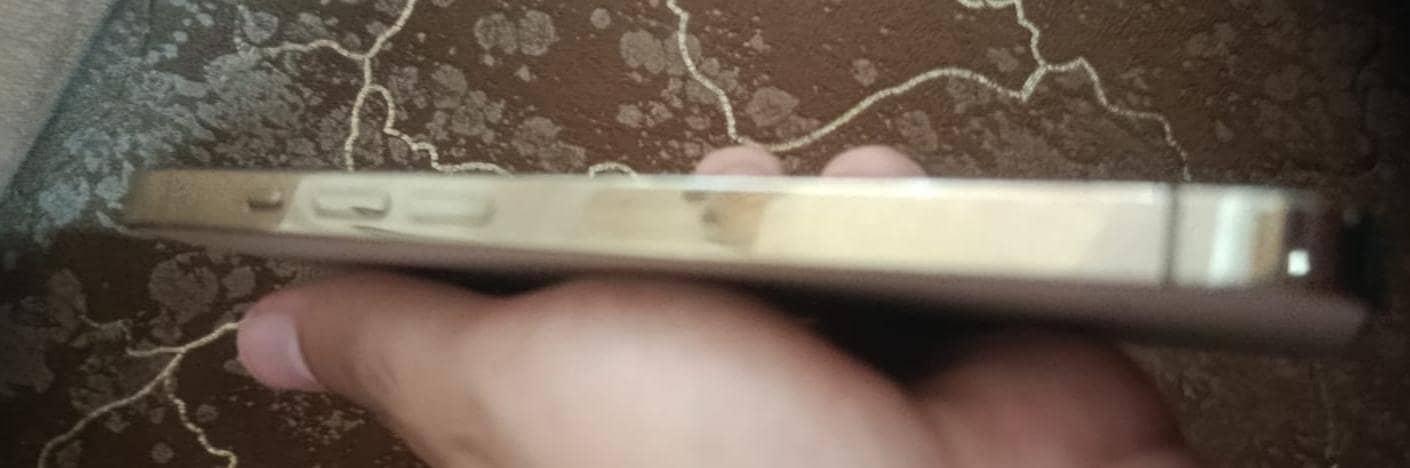 Apple iPhone 13 Pro 1