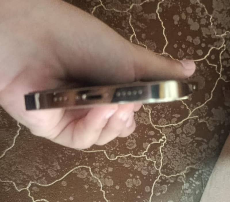 Apple iPhone 13 Pro 3
