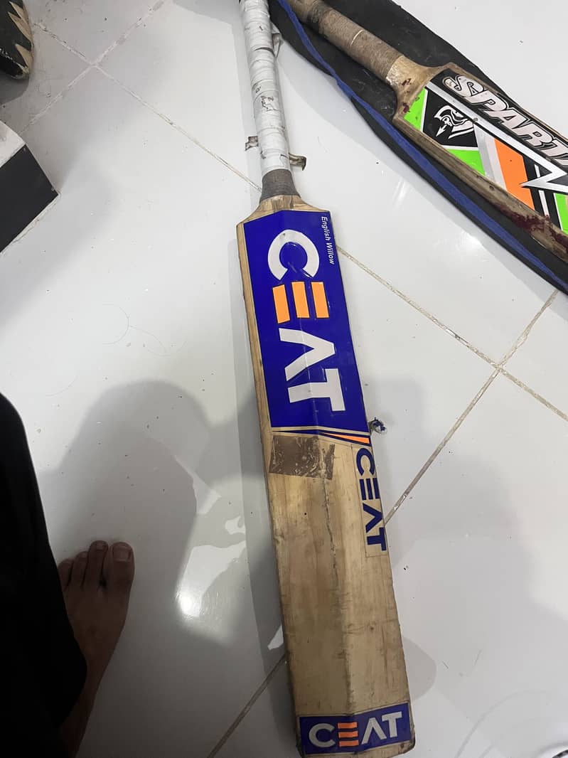 Cricket kit 10