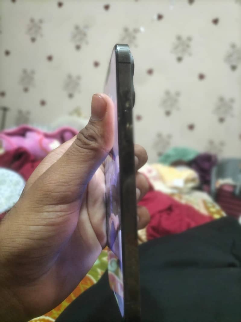 Apple iPhone 13 Pro Max 1