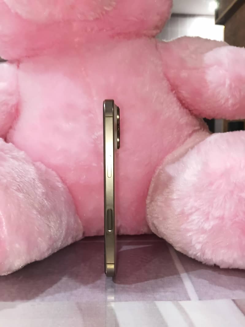 Apple iPhone 16 Pro 3
