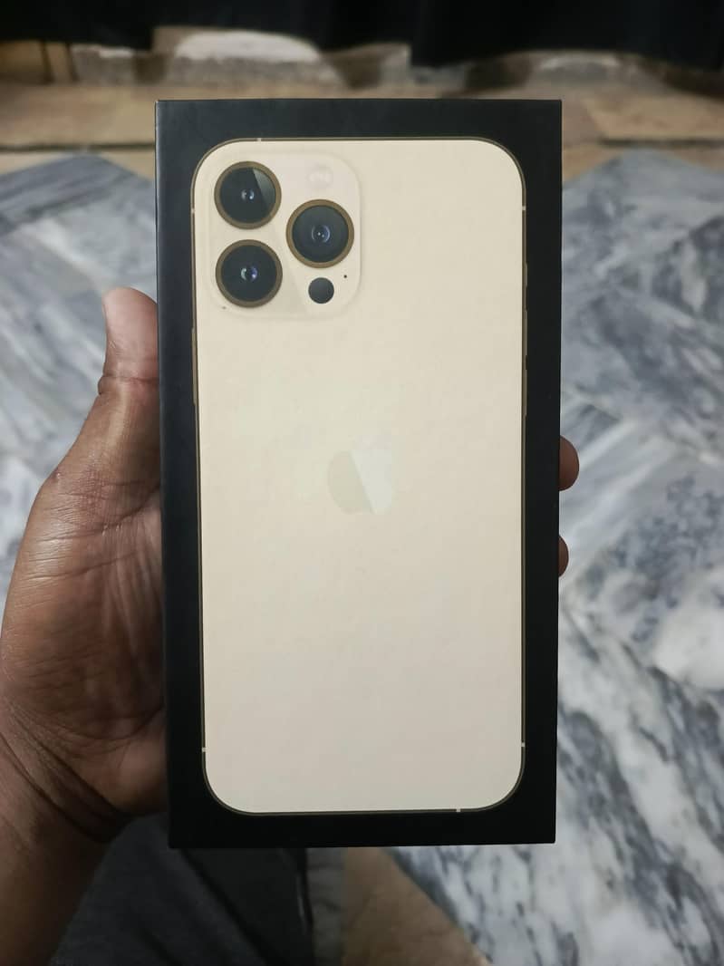 Apple iPhone 13 Pro Max 1