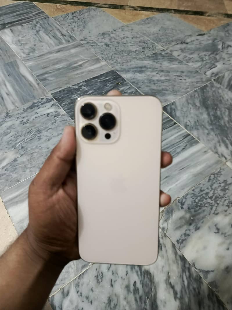 Apple iPhone 13 Pro Max 2