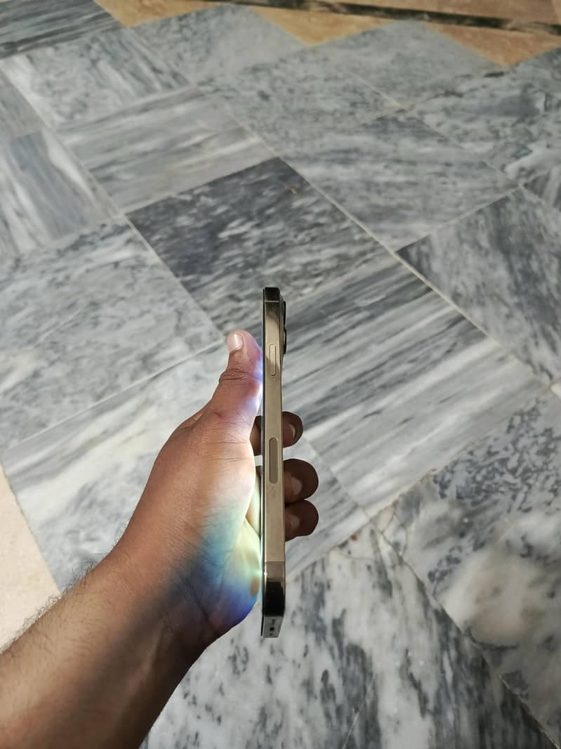 Apple iPhone 13 Pro Max 5