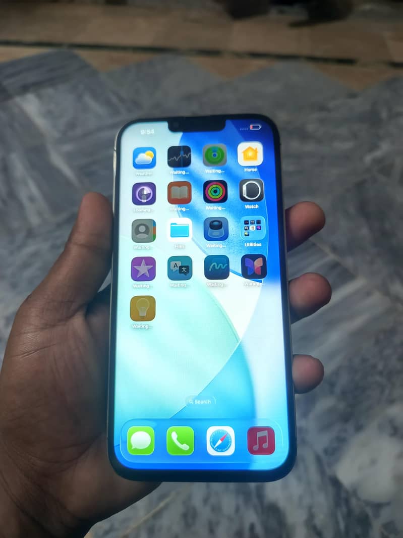 Apple iPhone 13 Pro Max 6