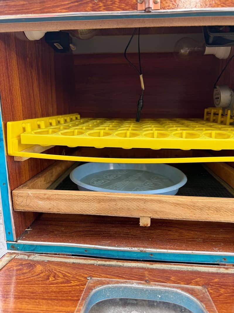 Incubator 2