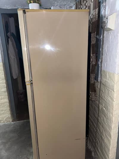 refrigerator PEL medium size
