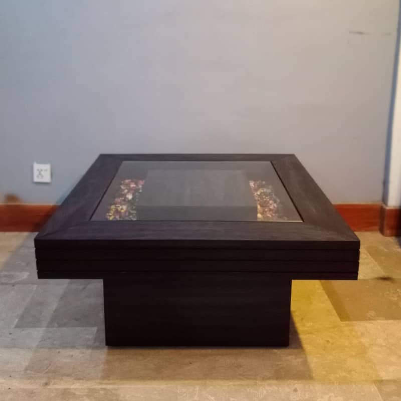 Equatic coffee table 2