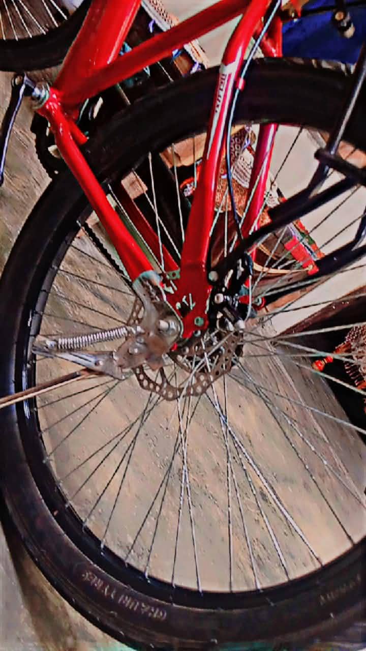 cycle 6