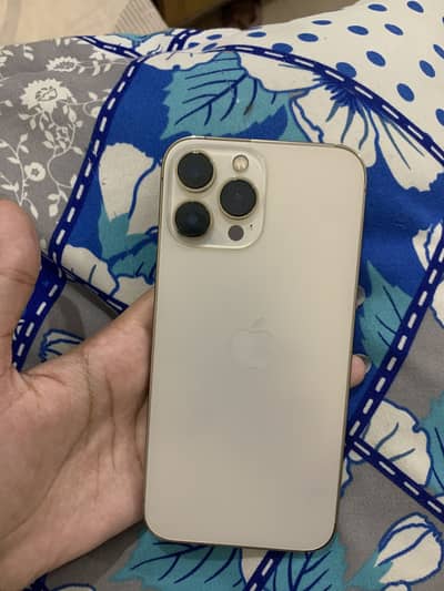 Apple iPhone 13 Pro Max