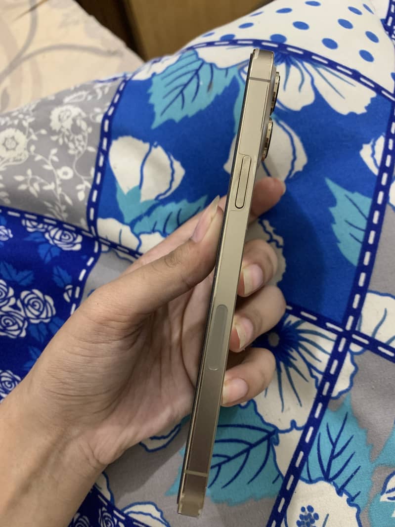 Apple iPhone 13 Pro Max 1