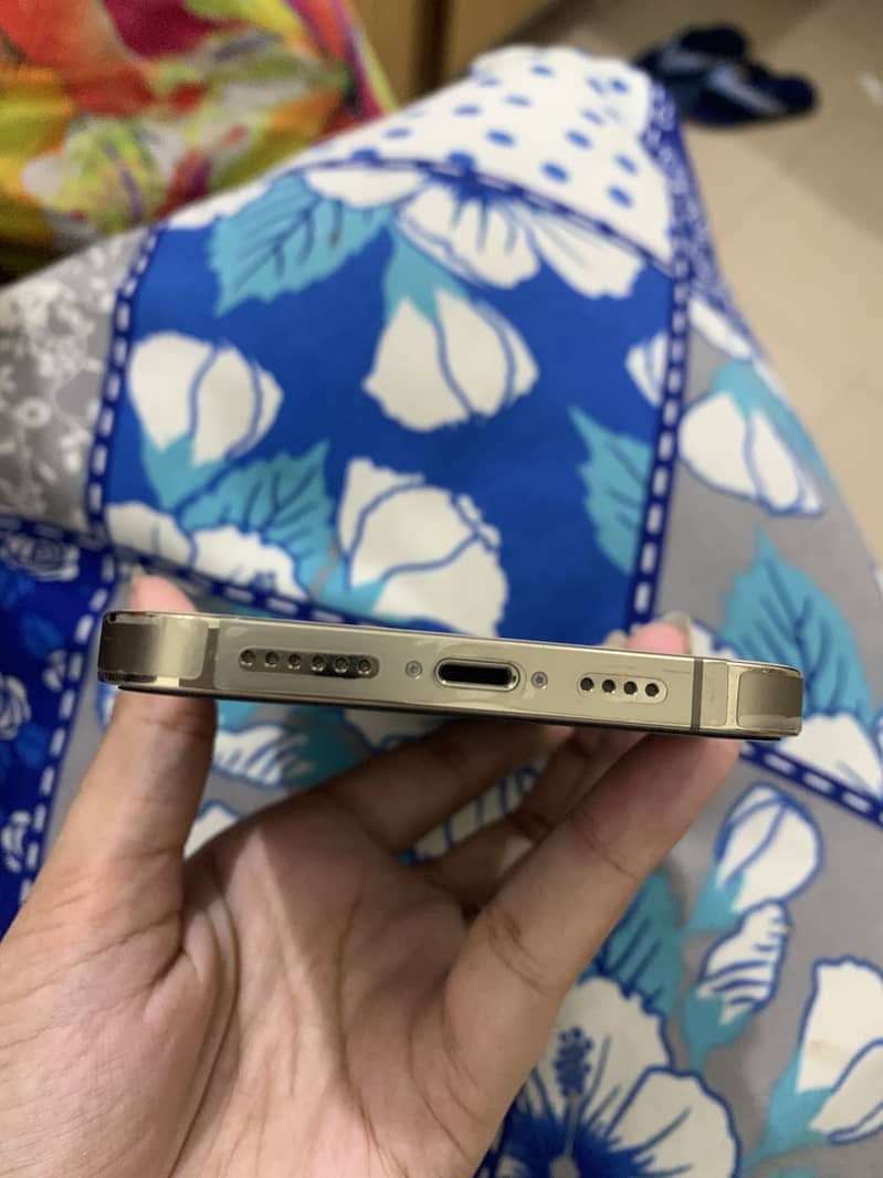 Apple iPhone 13 Pro Max 2