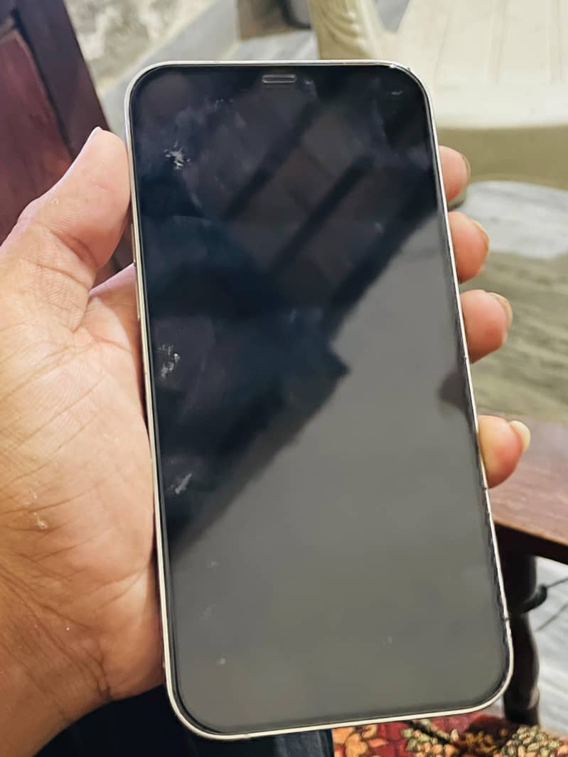 Apple iPhone 12 Pro Max 1
