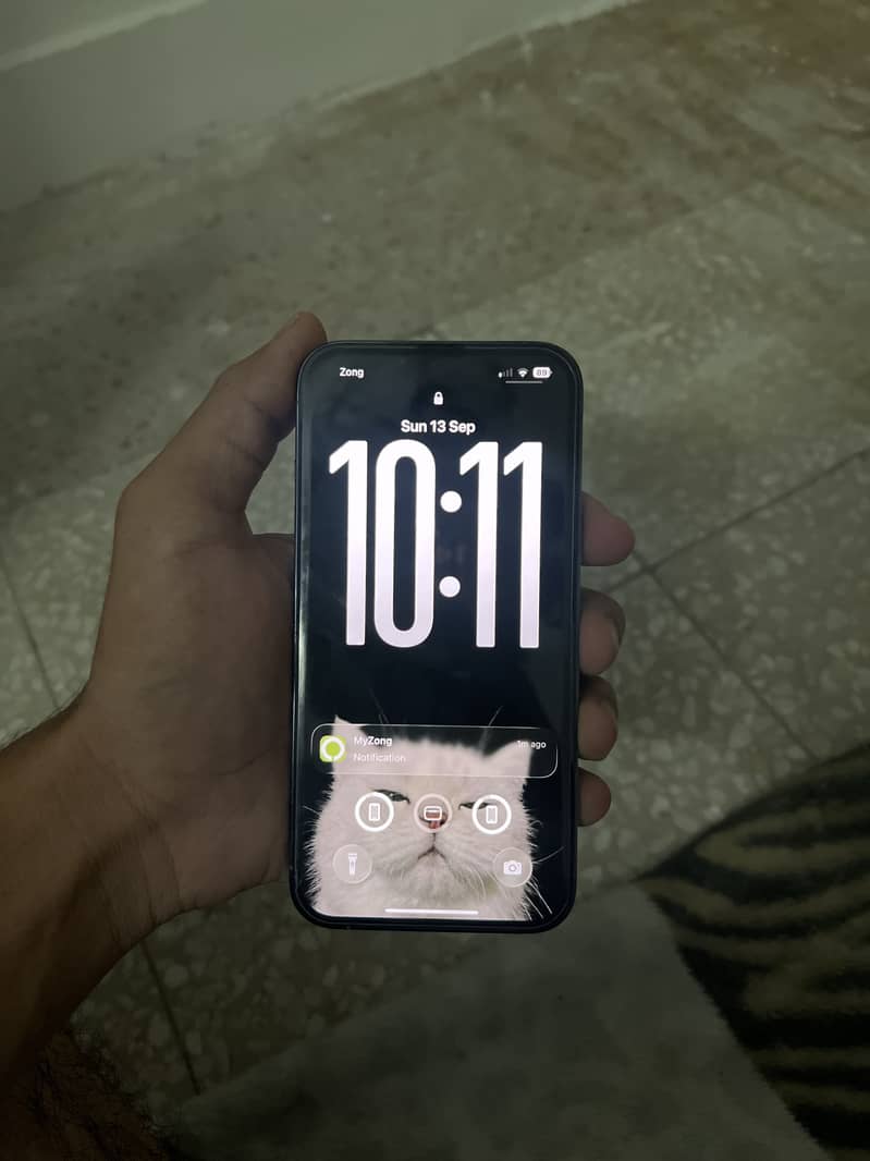 Apple iPhone 13 Pro 1