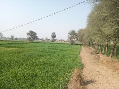 agriculture land for sale