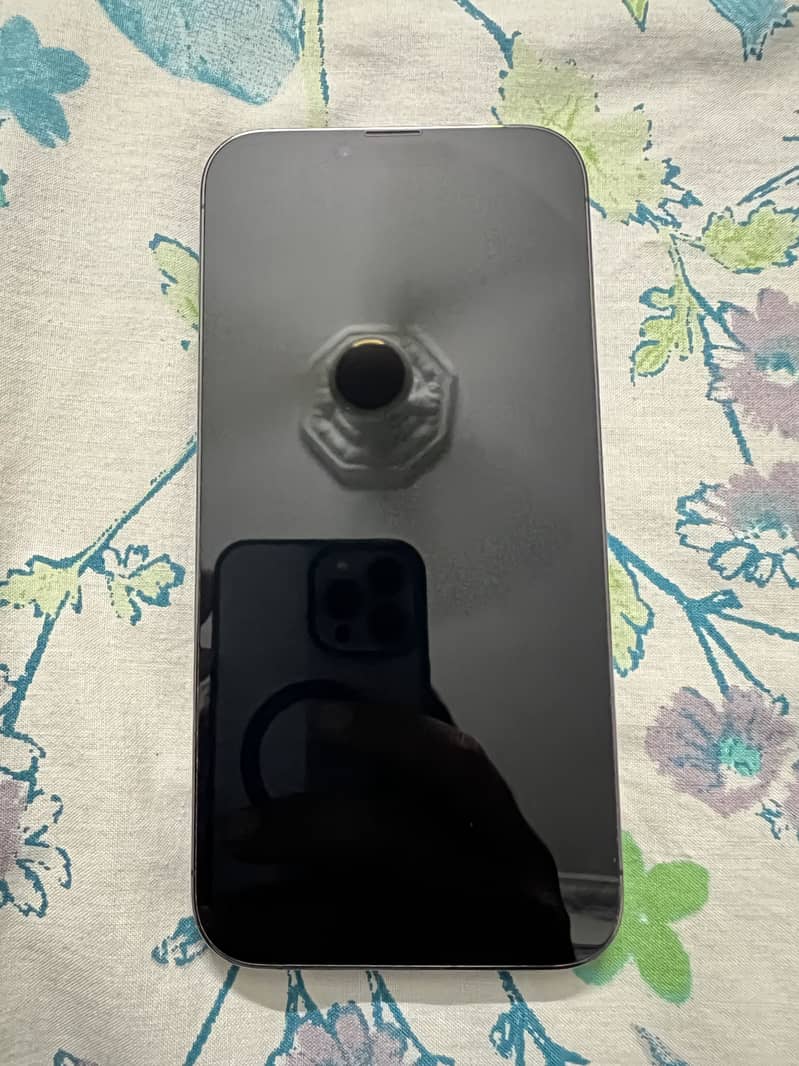 Apple iPhone 13 Pro Max 1