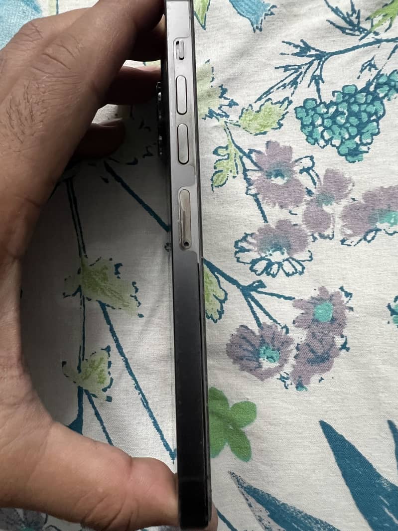Apple iPhone 13 Pro Max 2