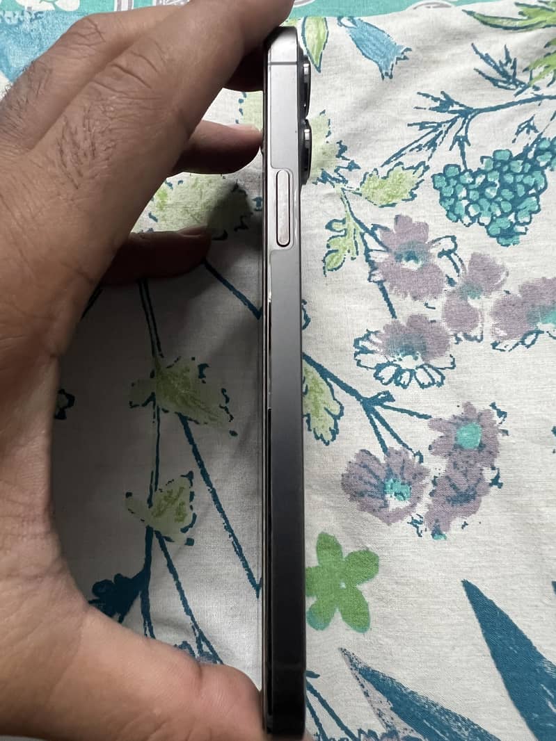 Apple iPhone 13 Pro Max 3