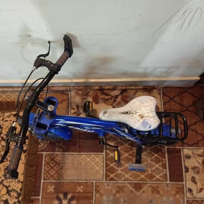 kids bicycle