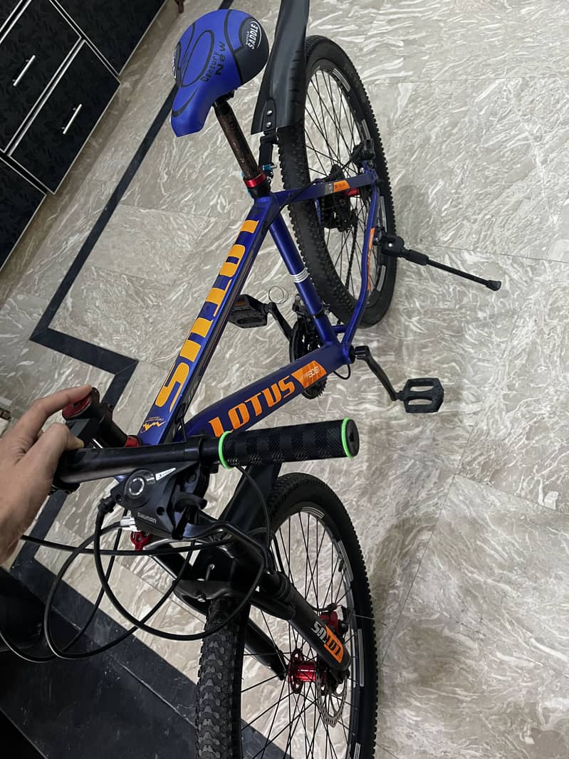 Cycle 1