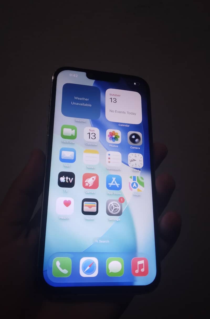 Apple iPhone 13 Pro Max 1