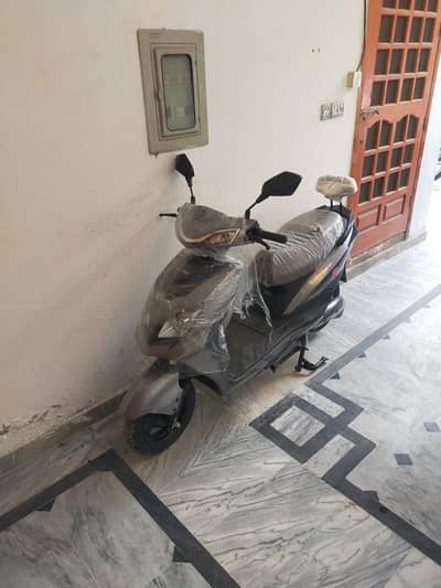 ELECTRIC SOCOTY