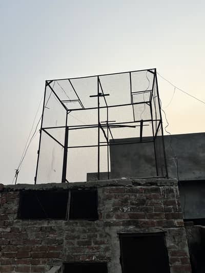Iron cage for pigeons