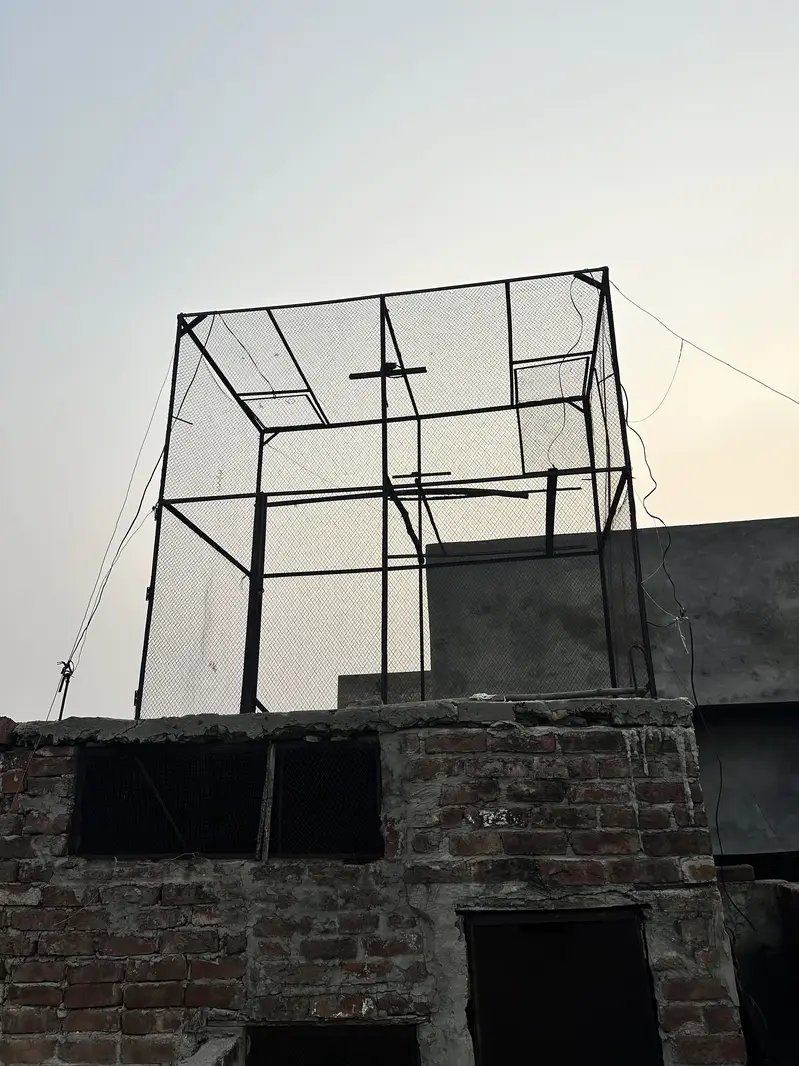 Iron cage for pigeons