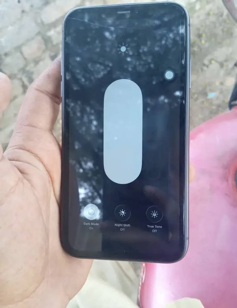 Apple iPhone 11 1