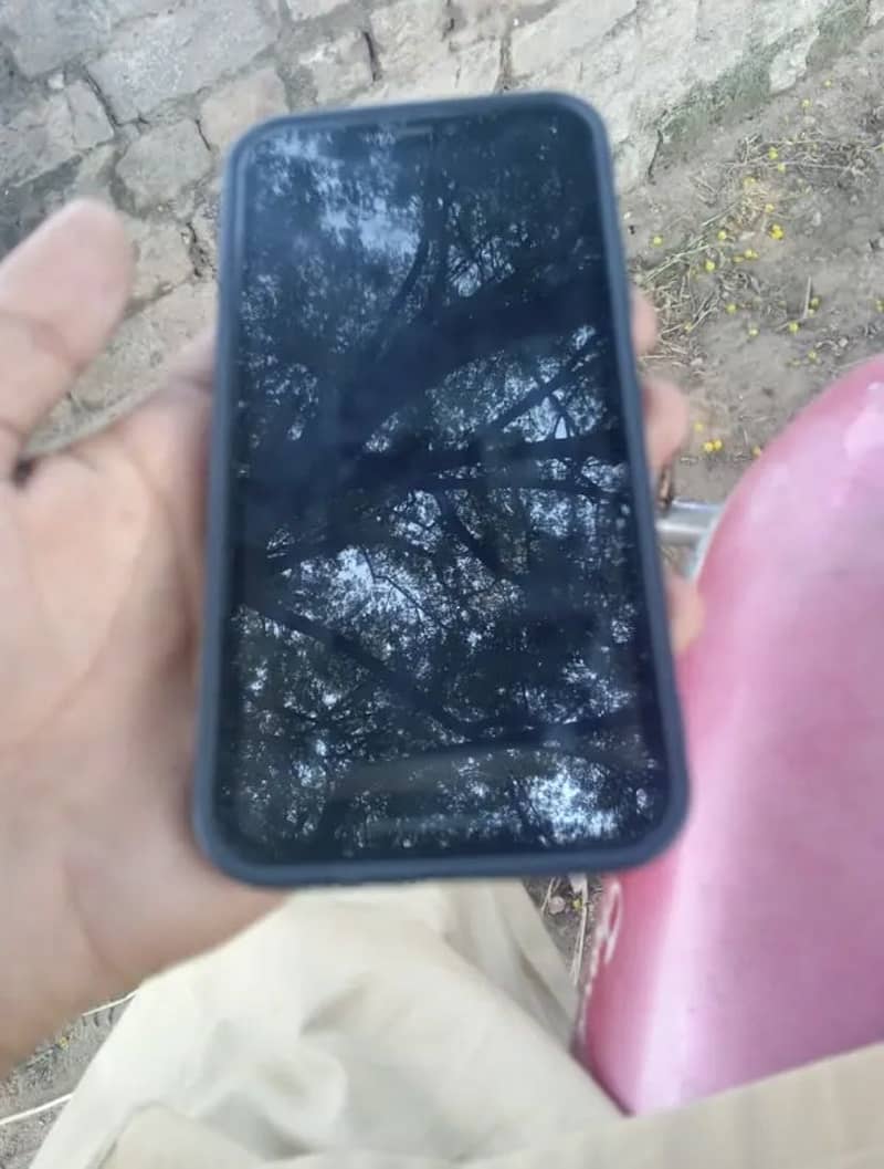 Apple iPhone 11 2