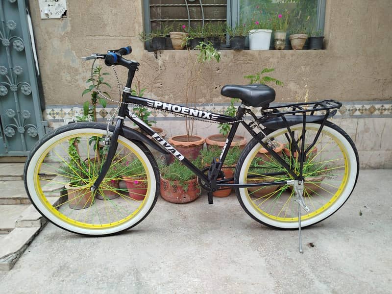 Bicycle 4