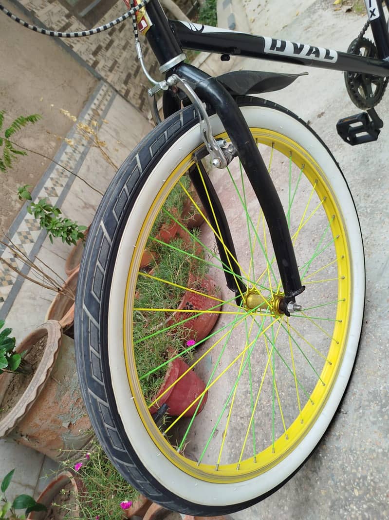 Bicycle 6