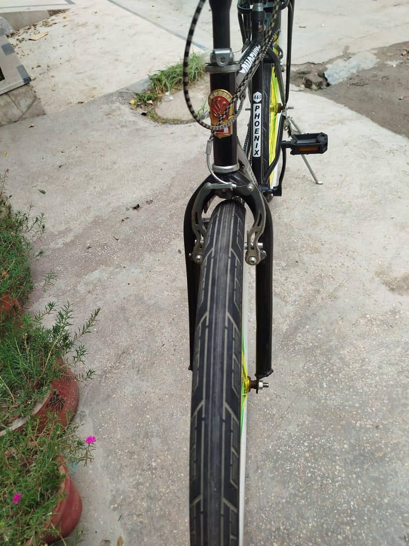 Bicycle 10