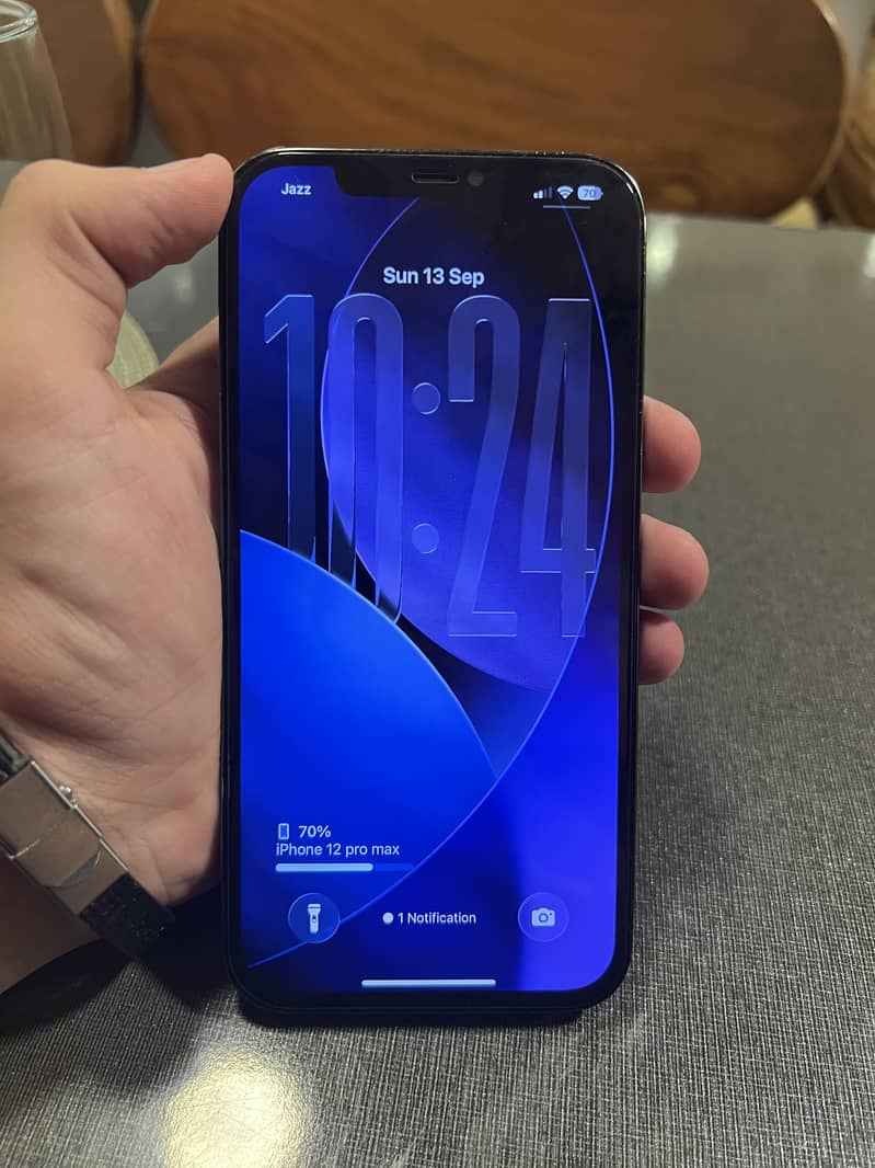 iPhone 12 Pro Max 1