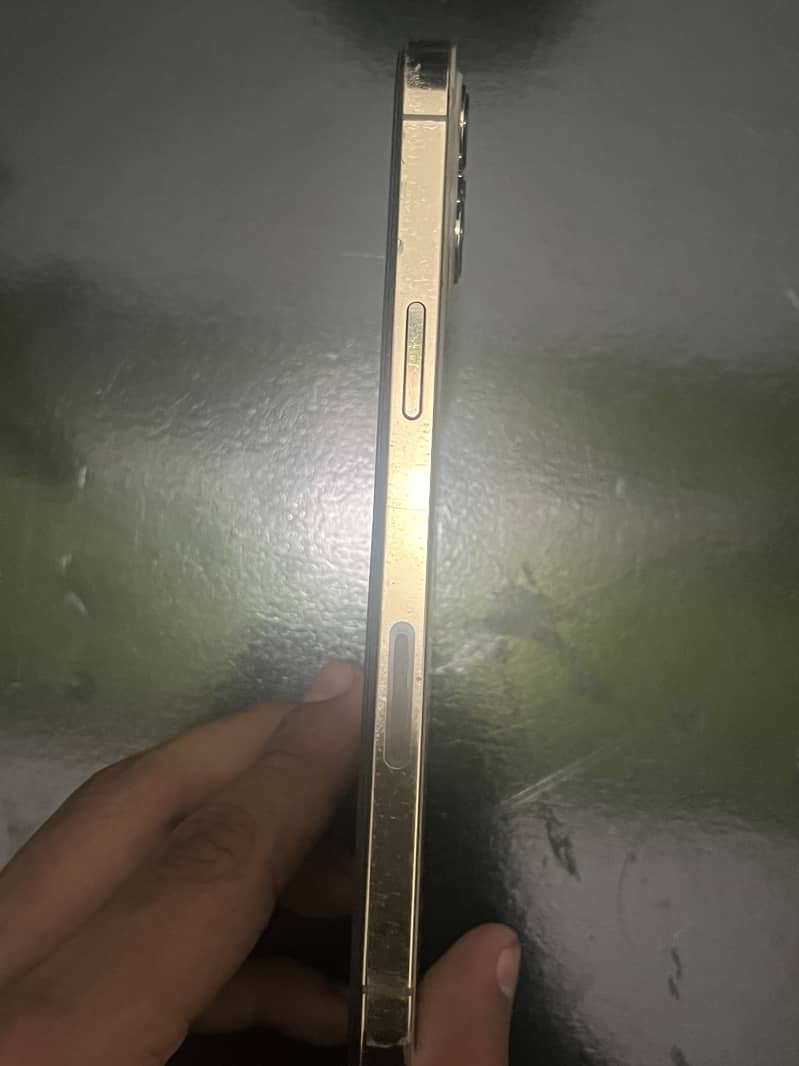 Apple iPhone 12 Pro Max 1