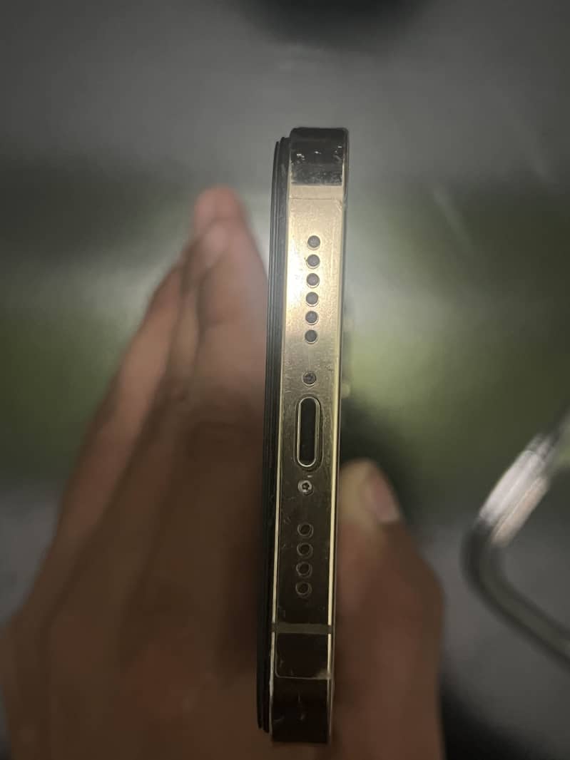Apple iPhone 12 Pro Max 4