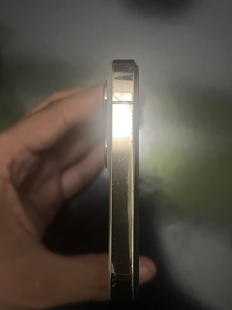 Apple iPhone 12 Pro Max 5