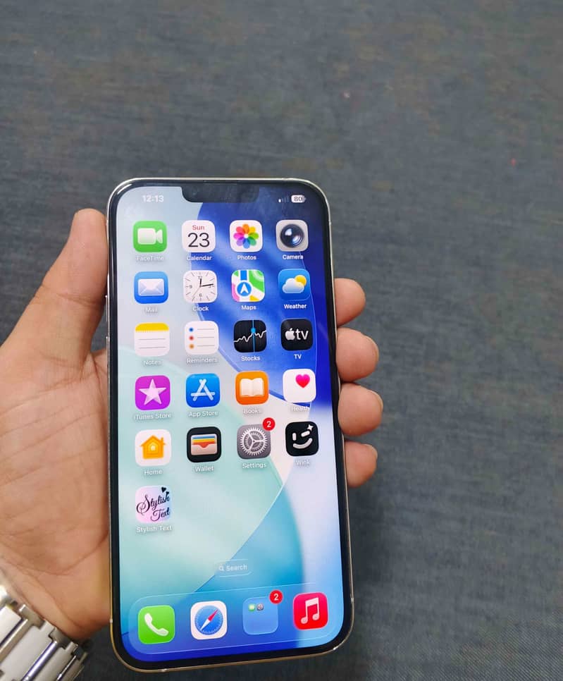 Apple iPhone 13 Pro Max 1