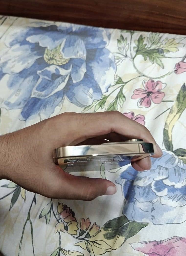 Apple iPhone 14 Pro Max 3