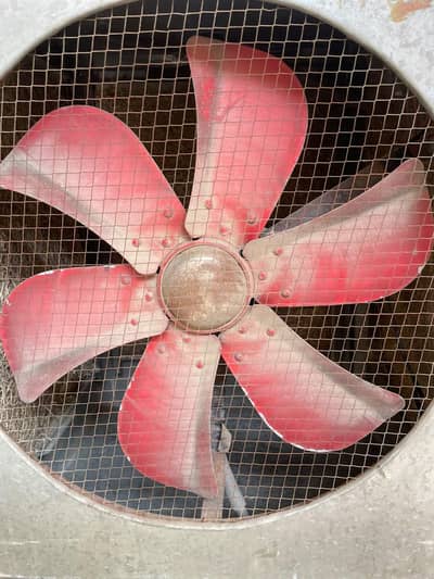 Lahorei cooler