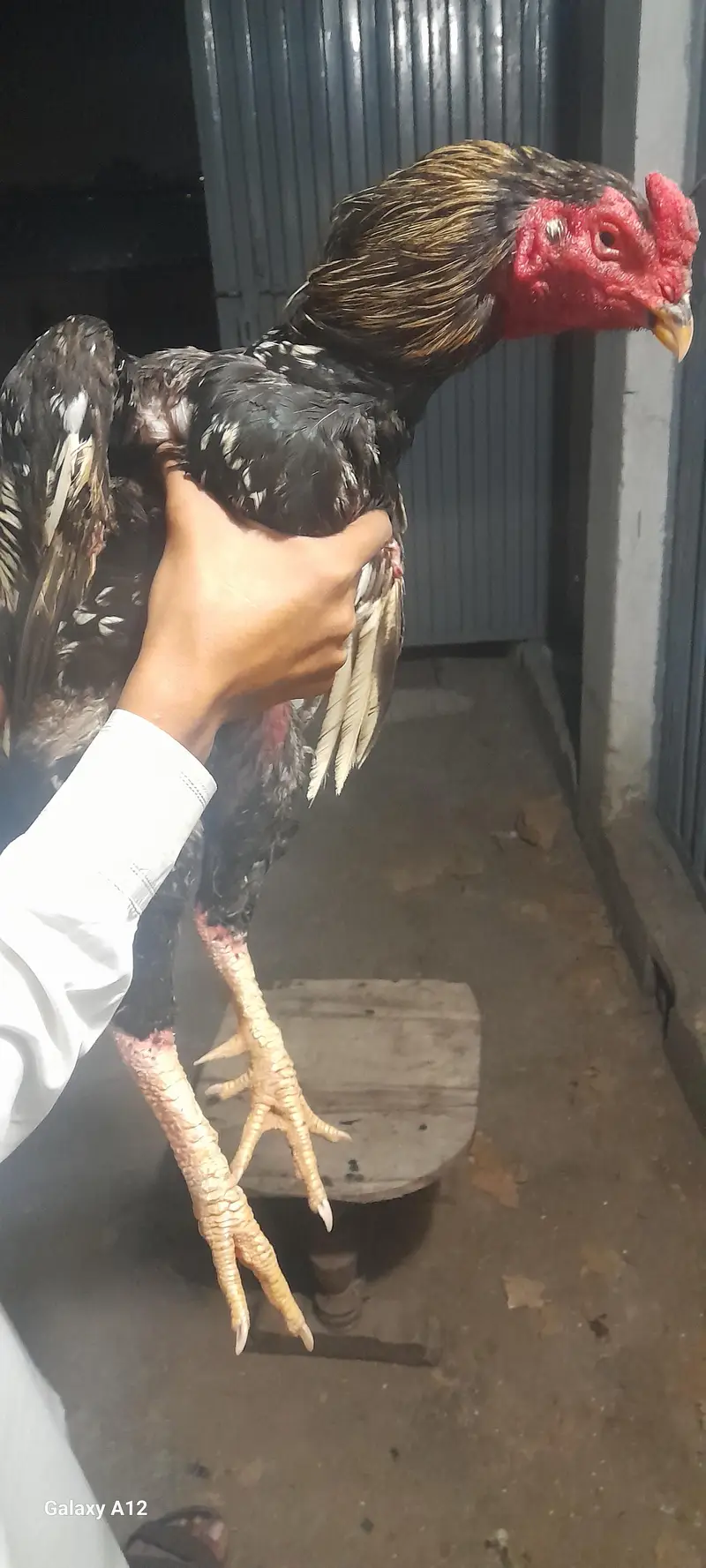 exchange with heera male — photo 9