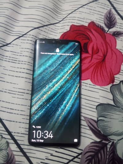 mate 20 pro 6/128