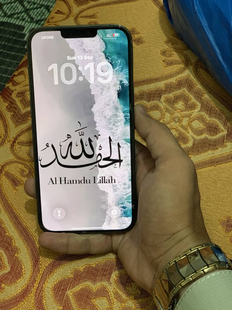 Apple iPhone 13 Pro Max 1
