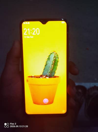 Vivo Y17